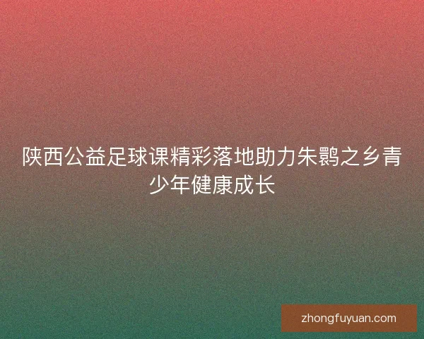 陕西公益足球课精彩落地助力朱鹮之乡青少年健康成长